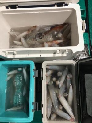 image0_10.jpeg