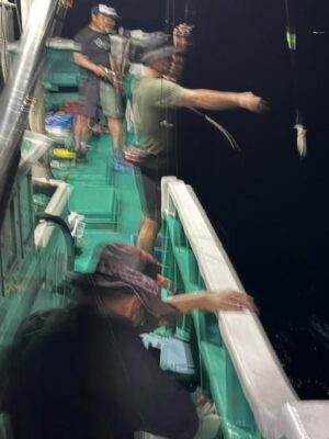 image4.jpeg